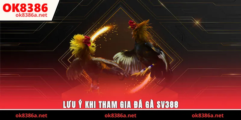 Lưu ý khi tham gia đá gà SV388