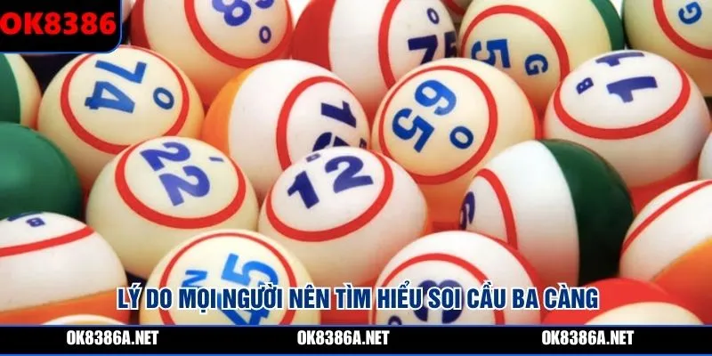 Lý do mọi người nên tìm hiểu soi cầu ba càng